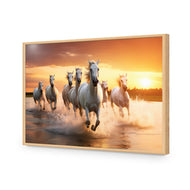 Sunset Horses