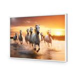 Sunset Horses