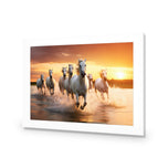 Sunset Horses