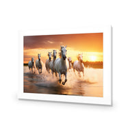 Sunset Horses