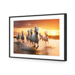 Sunset Horses