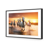 Sunset Horses