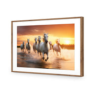 Sunset Horses