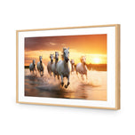 Sunset Horses