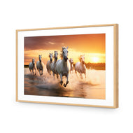 Sunset Horses