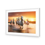 Sunset Horses