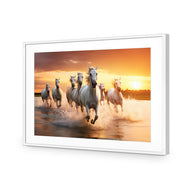 Sunset Horses