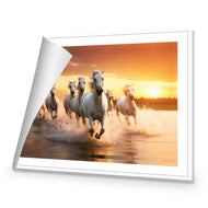 Sunset Horses