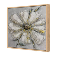 Daisy (stock)