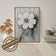 Camellia (stock)