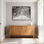 Central Park Dawn in Snow (stock)